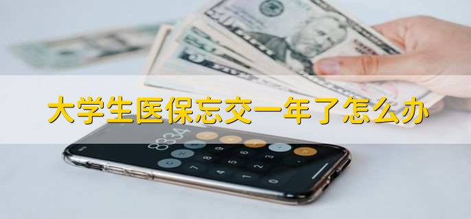 大学生医保忘交一年了怎么办