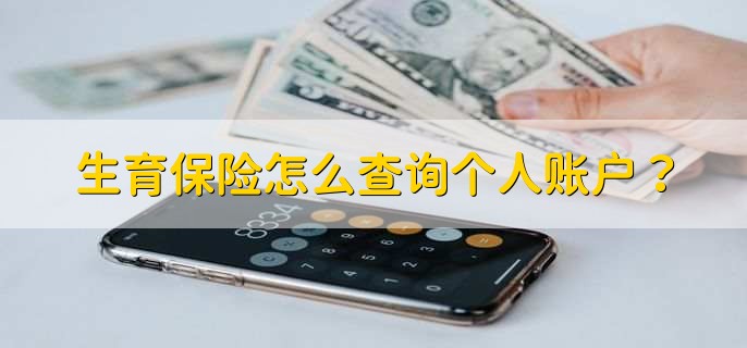 生育保险怎么查询个人账户？