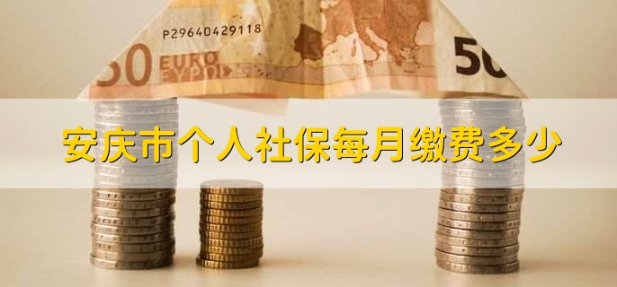 安庆市个人社保每月缴费多少