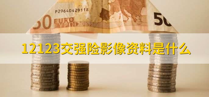 12123交强险影像资料是什么