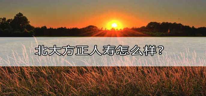 北大方正人寿怎么样？