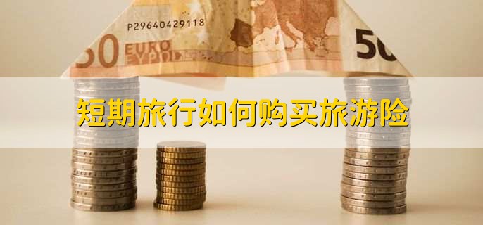 短期旅行如何购买旅游险