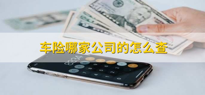 车险哪家公司的怎么查