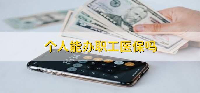 个人能办职工医保吗