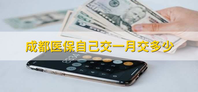 成都医保自己交一月交多少