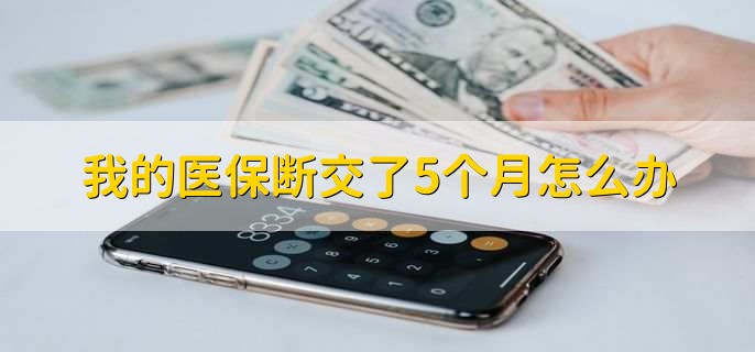 我的医保断交了5个月怎么办