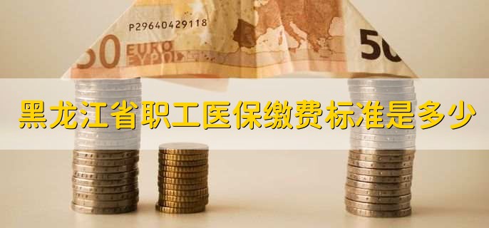 黑龙江省职工医保缴费标准是多少