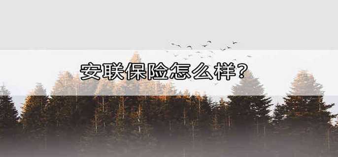 安联保险怎么样？