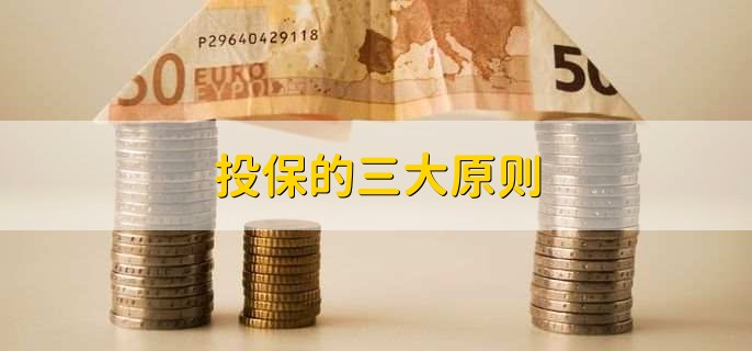 投保的三大原则