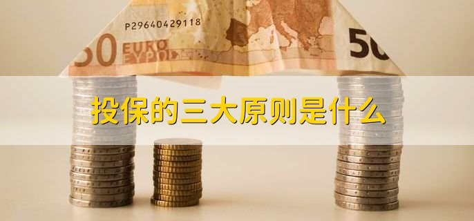 投保的三大原则是什么