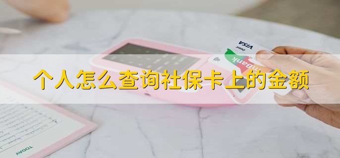 个人怎么查询社保卡上的金额