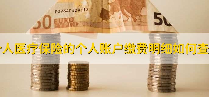 个人医疗保险的个人账户缴费明细如何查询