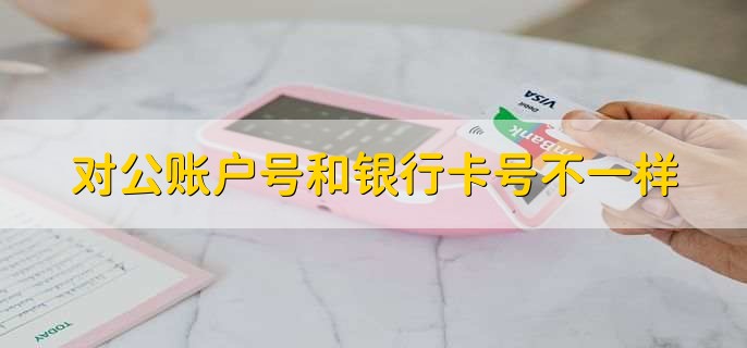 对公账户号和银行卡号不一样