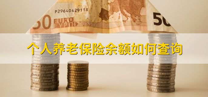 个人养老保险余额如何查询