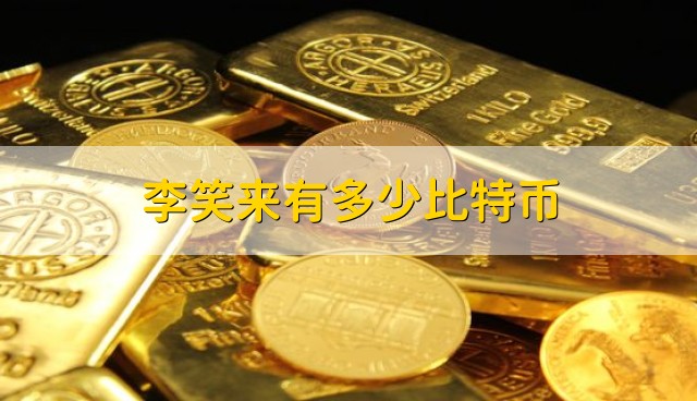 李笑来有多少比特币