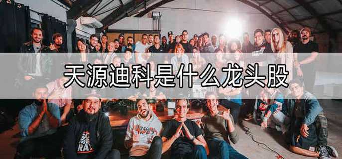 天源迪科是什么龙头股