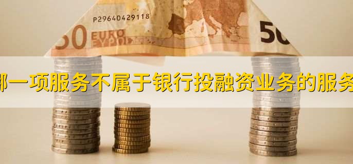 以下哪一项服务不属于银行投融资业务的服务范围?