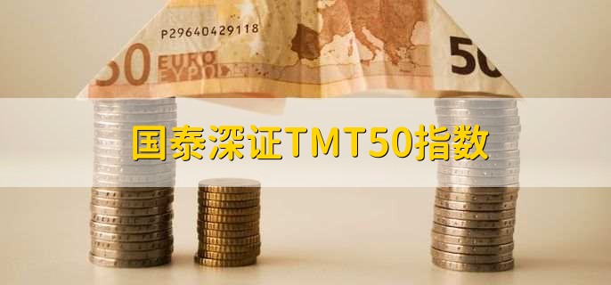 国泰深证TMT50指数