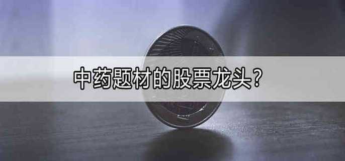 中药题材的股票龙头